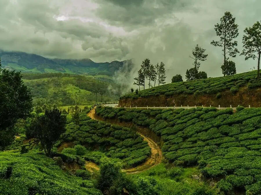 Travel Tips- जीवन में एक बार जरूर सावन में घूमें ये जगह, जानिए इनके बारे में