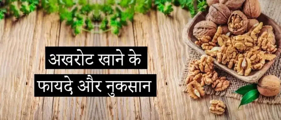 Health Tips-&nbsp;अखरोट का इस समय सेवन होता हैं स्वास्थ्य के लिए लाभदायक, जानिए कौनसा हैं वो समय
