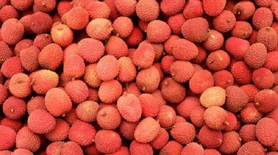 Health Tips- लीची का इस तरह करें सेवन, स्वास्थ्य को मिलेंगे ये फायदे