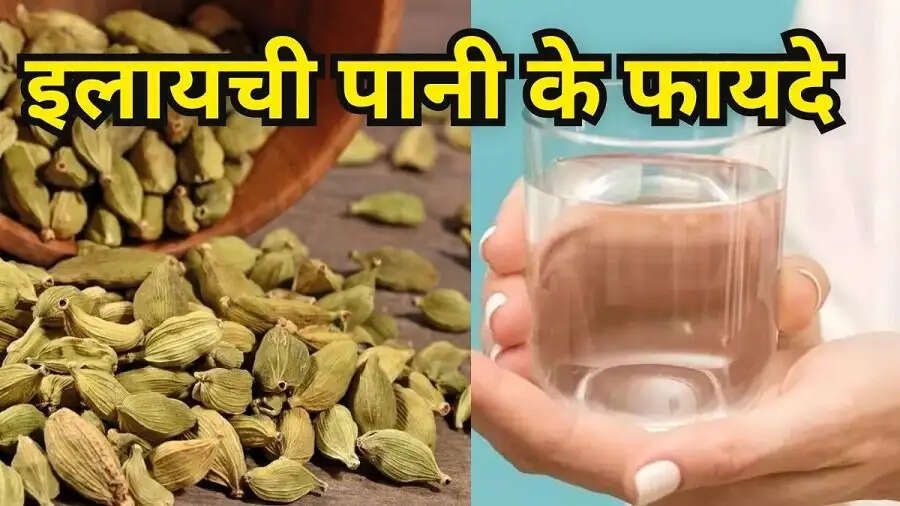 Health Tips-&nbsp;इलायची का पानी होता हैं स्वास्थ्य के लिए फायदेमंद, जानिए पीने का सही समय