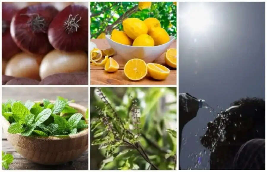 Health Tips- लू से बचना हैं, तो इन चीजों का करें सेवन