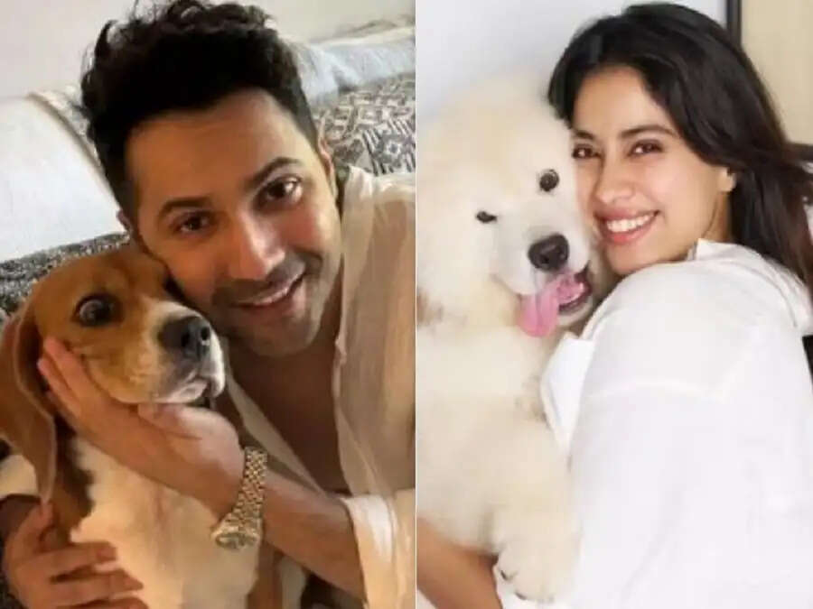 Entertainment News-&nbsp;इन बॉलीवुड सेलेब्स के पास है ये डॉग, जानिए इनके बारे में