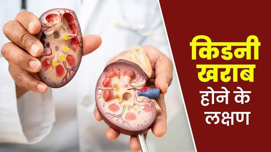 Health Tips-&nbsp;किडनी खराब होने पर दिखाई देते हैं ये लक्षण, जानिए इनके बारे में