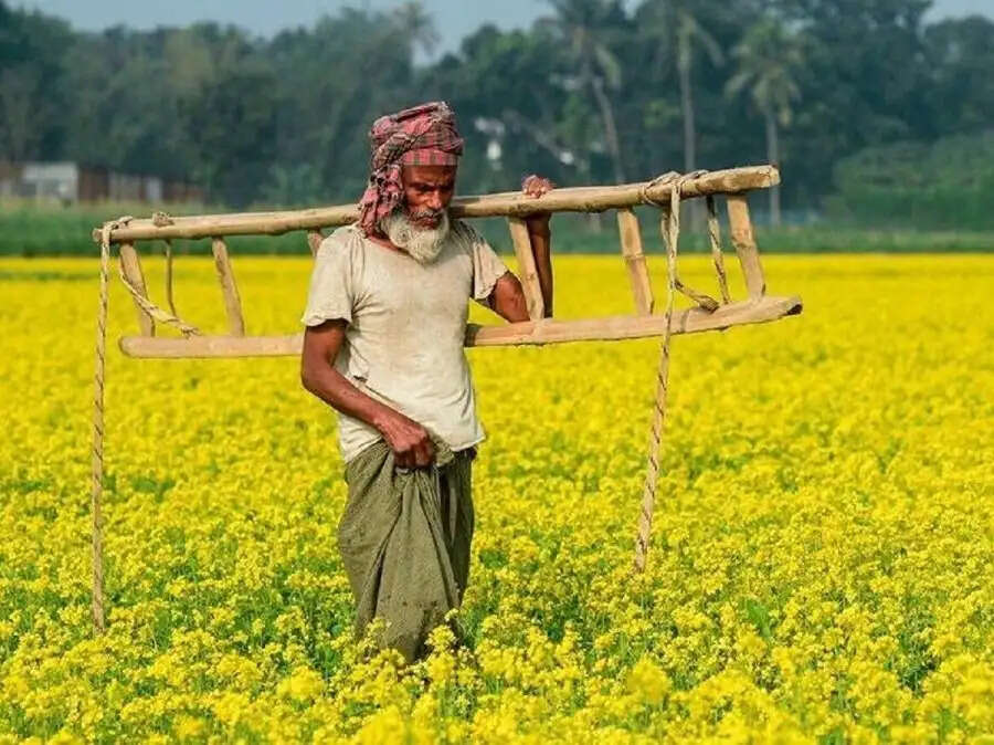 PMKSNY- PM&nbsp;किसान योजना का लाभ उठाने के लिए फॉर्मर रजिस्ट्री हैं जरूरी, जानिए पूरी डिटेल्स