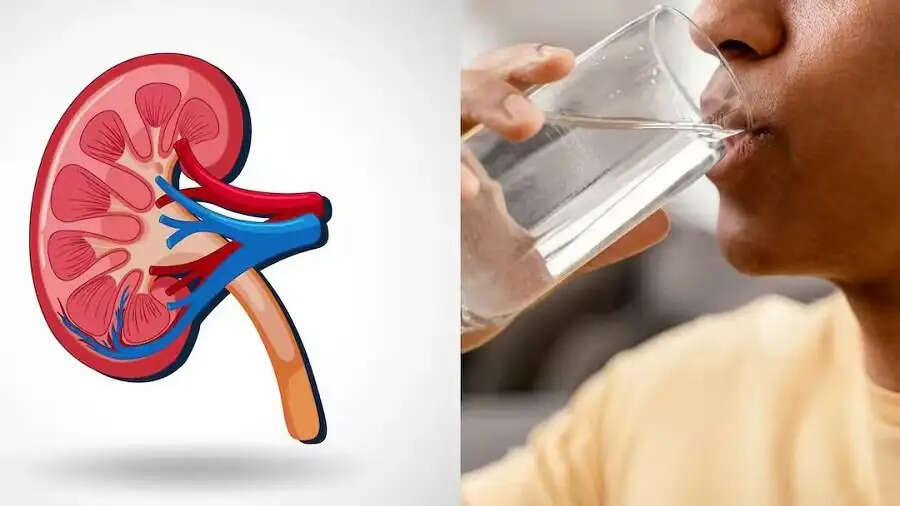 Health Tips- किडनी को हेल्दी बनाए रखने के लिए कितना पानी पीना जरूरी हैं, आइए जानते हैं पूरी डिटेल्स