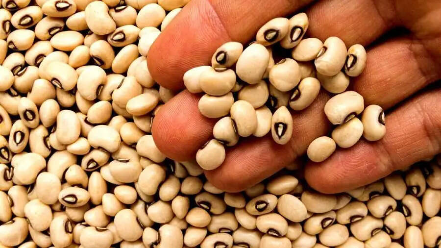 Health Tips-&nbsp;लोबिया दाल सेवन से मिलते ये स्वास्थ्य लाभ, ऐसे करें सेवन