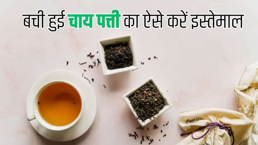 Geneal Hacks-&nbsp;यूज करी हुई चाय पत्ती को फेंकने के बजाया ऐसे केरं रियूज, जानिए पूरी डिटेल्स