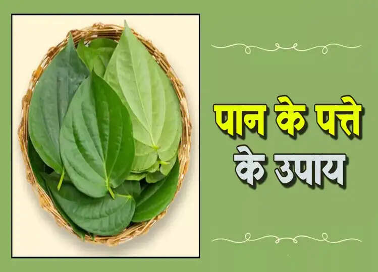 Paan Ke Upay: पान का पत्ता इस तरह दूर कर सकता है आपकी आर्थिक तंगी, बेहद असरदार हैं ये उपाय