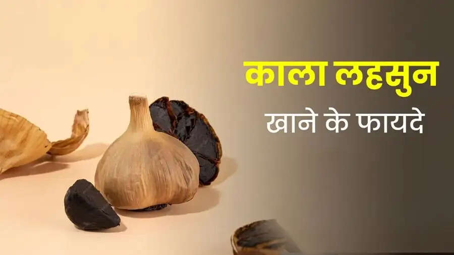 Health Tips-&nbsp;काले लहसुन के सेवन से मिलते हैं ये स्वास्थ्य लाभ, जानिए कैसे करना हैं सेवन