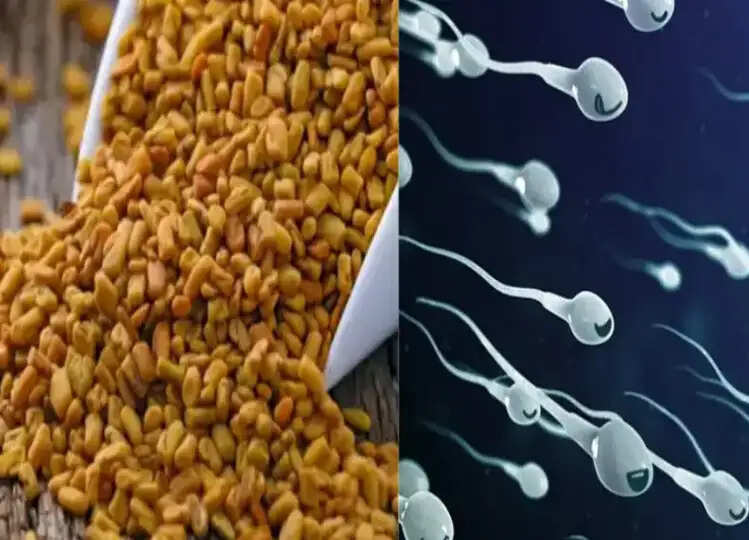 स्पर्म बनाने की फैक्ट्री है ये बीज, रोजाना खाने से मिलेगी बेशुमार ताकत, आज से ही करें सेवन