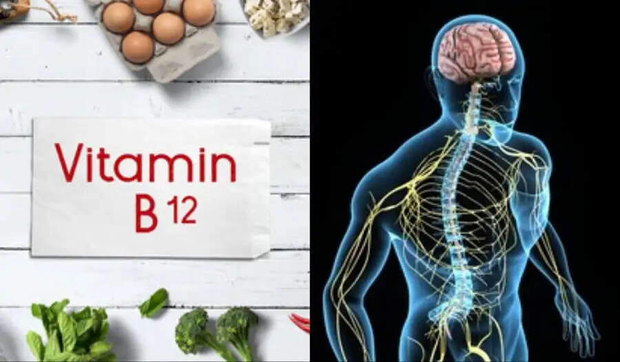 Health Tips- मानव शरीर में विटामिन बी12 की कमी से दिखाई देते हैं ये लक्षण, जानिए पूरी डिटेल्स