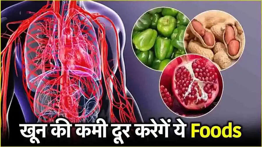 Health Tips- सर्दियों में खून की कमी के लिए इन फूड्स का करें सेवन, जानिए इनके बारे में