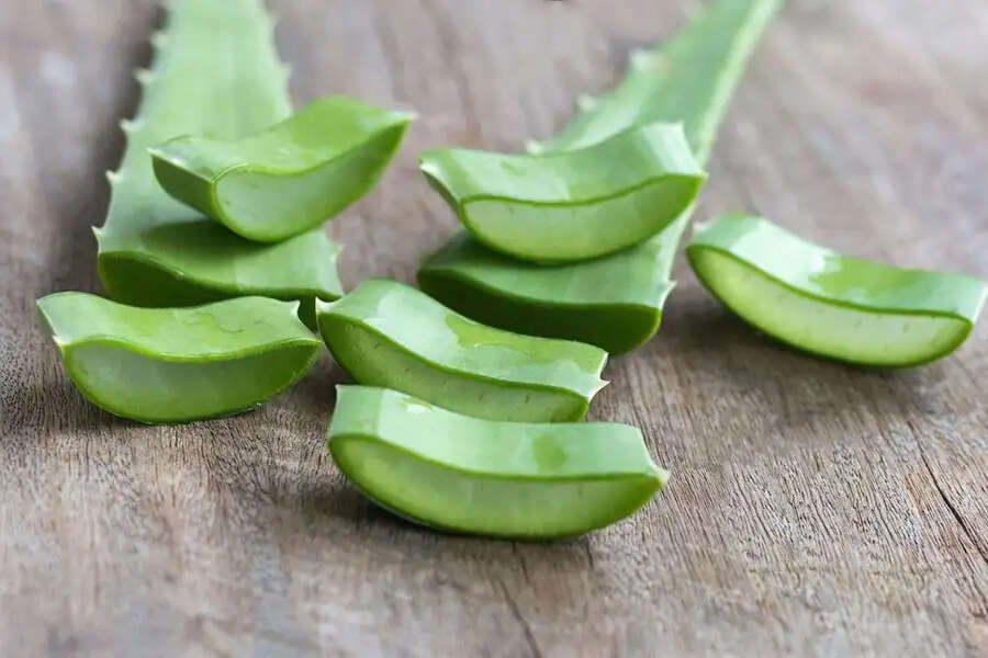 Health Tips- प्रतिदिन एलोवेरा सेवन से मिलते हैं ये फायदे, जानिए कैसे करना है सेवन
