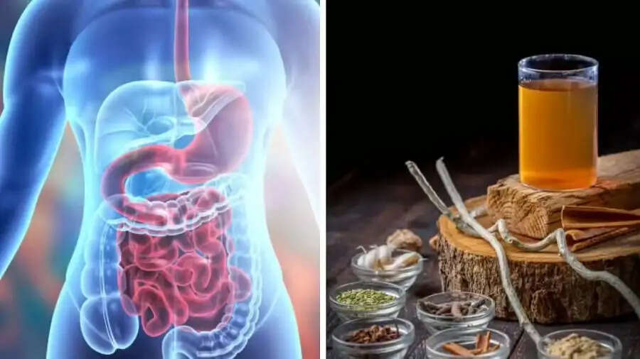 Health Tips-&nbsp;अगर अपनी गट हेल्थ को बनाना चाहते हैं बेहतर, तो इन चीजों का पिएं जूस