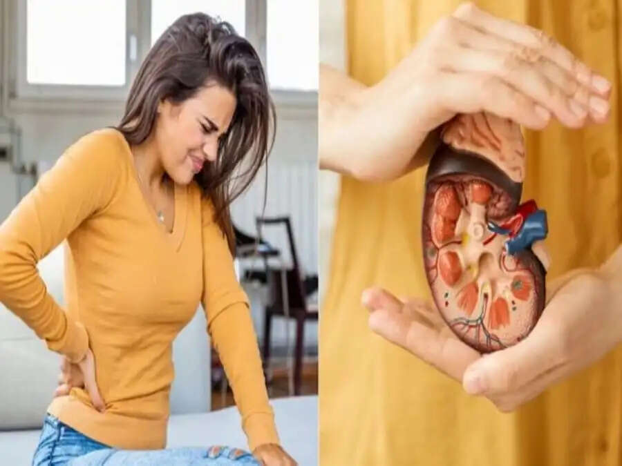 Health Tips-किडनी में पथरी होने पर दिखाई देते हैं ये लक्षण, नजरअंदाज करना हो सकता हैं भारी
