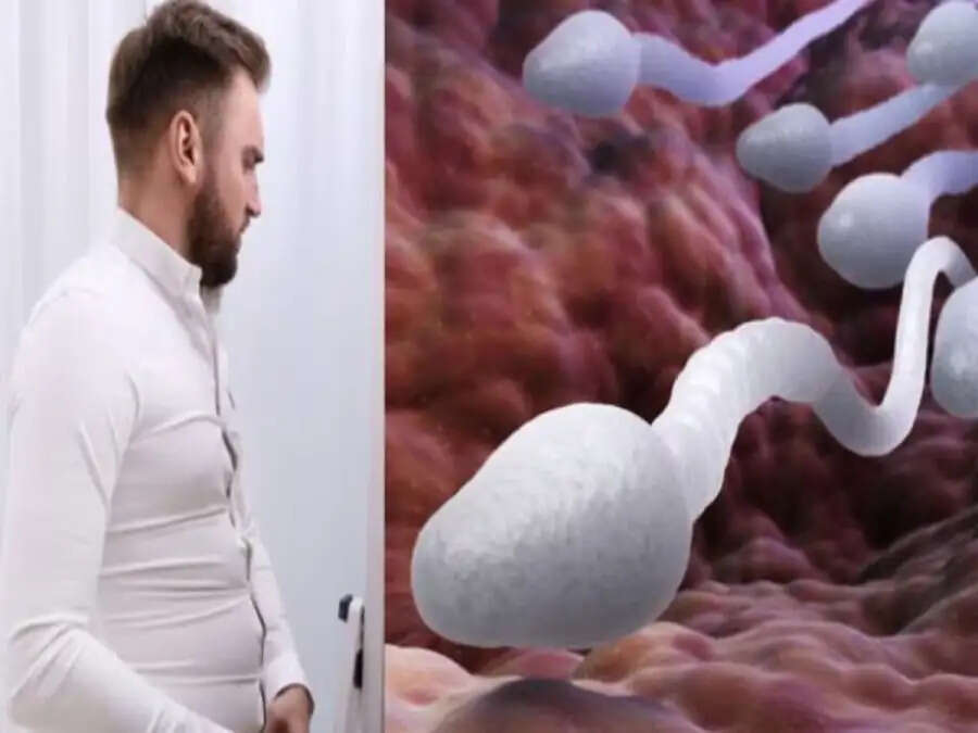 Sperm Count-  क्या बढ़ते वजन के कारण कम हो सकता हैं पुरुषों में स्पर्म काउंट, जानिए इसके बारे में पूरी डिटेल्स