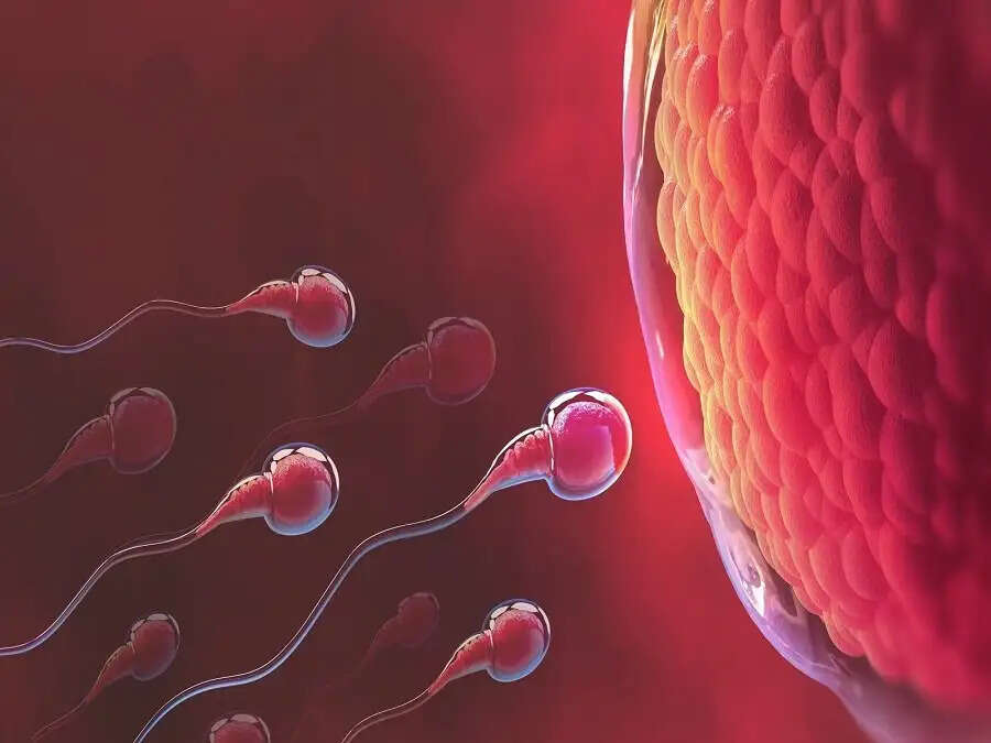 Sperm Count- पिता बनने के लिए इतना होना चाहिएल स्पर्म काउंट, जानिए पूरी डिटेल्स
