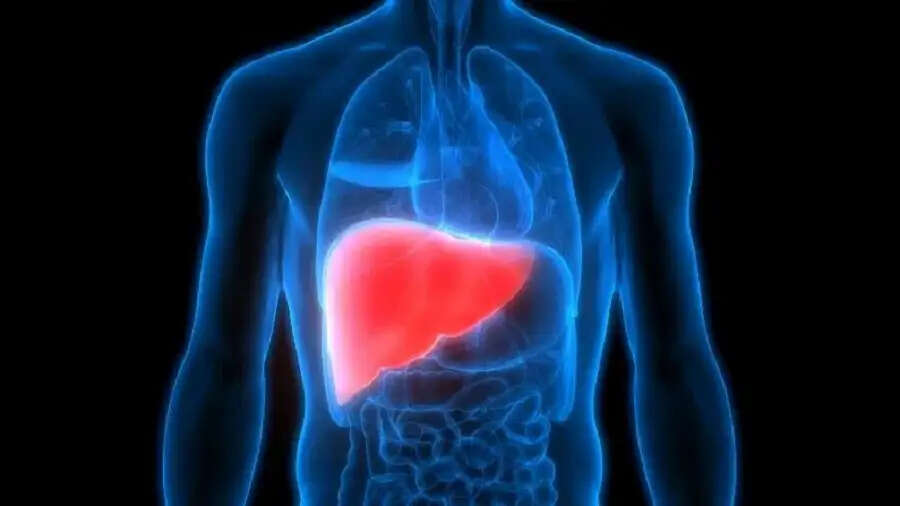Health Tips-  लिवर खराब होता हैं तो बदन देता हैं ये इशारें, जानिए इनके बारे में