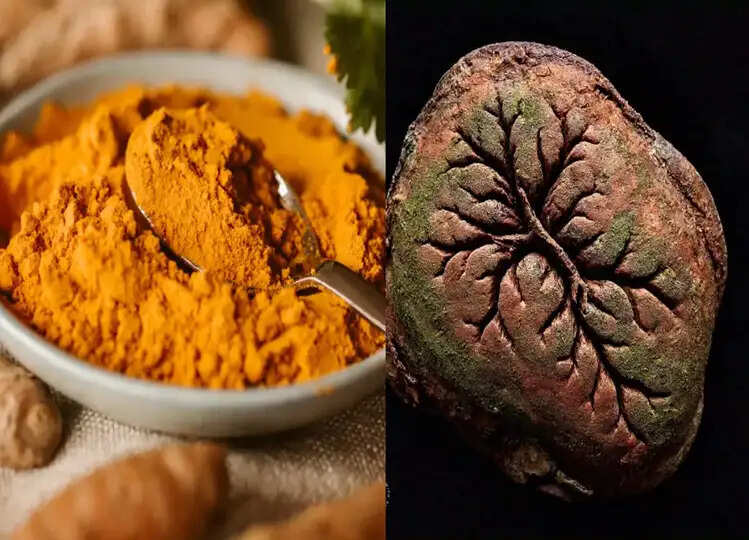 Health: हद्द से ज्यादा बिगड़ चुके फैटी लिवर को भी ठीक कर देगा ये देसी नुस्खा, आजमाएं और देखें कमाल