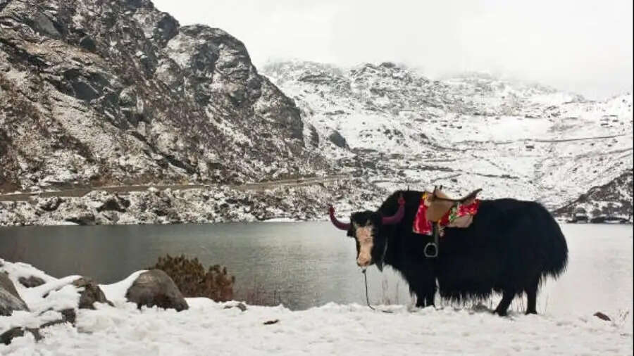 Cold Place of India-  भारत की इस जगह पर पड़ती है सबसे ज्यादा ठंड, जानिए पूरी डिटेल्स