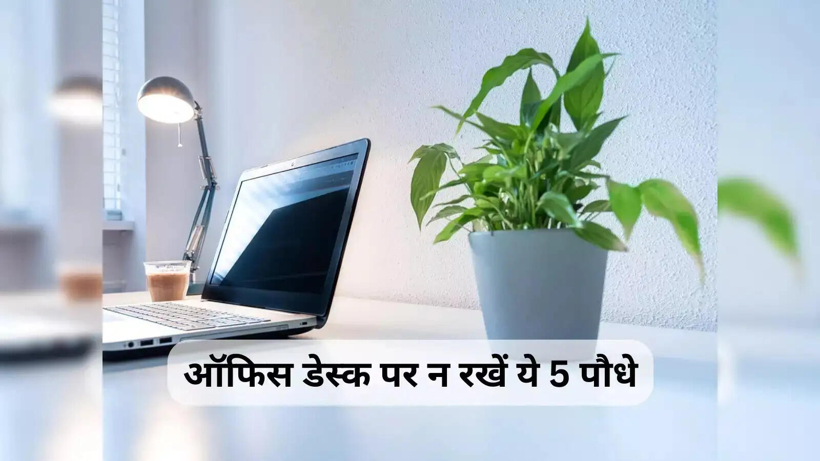 Vastu Tips- भूलकर भी ऑफिस डेस्क पर ना रखें ये पौधे, रुक जाएगी तरक्की