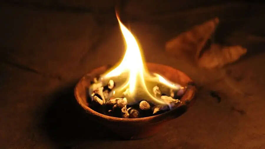 Vastu Tips-&nbsp;क्या आपके घर में दिख रहे हैं ऐसे संकेत, तो हो सकता हैं पितृ दोष
