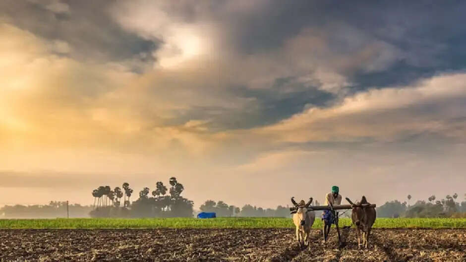 पीएम किसान सम्मान निधि योजना: सरकार ने अयोग्य किसानों से 416 करोड़ की राशि की वसूली की, जानें पूरी जानकारी