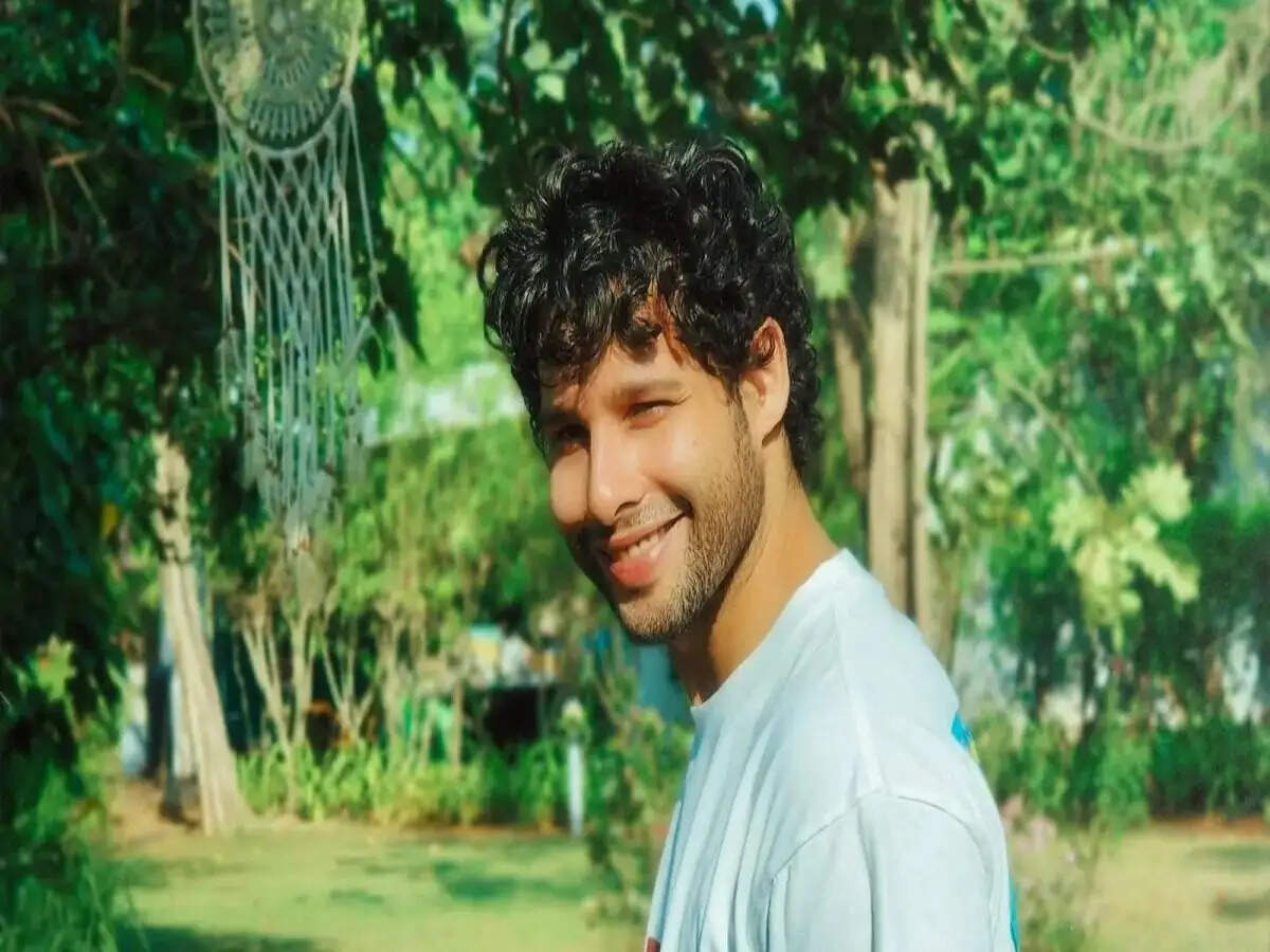 Entertainment News- सिद्धांत चतुर्वेदी ने छोटी सी उम्र बना ली इतनी बड़ी संपत्ति, जानिए उनकी नेटवर्थ