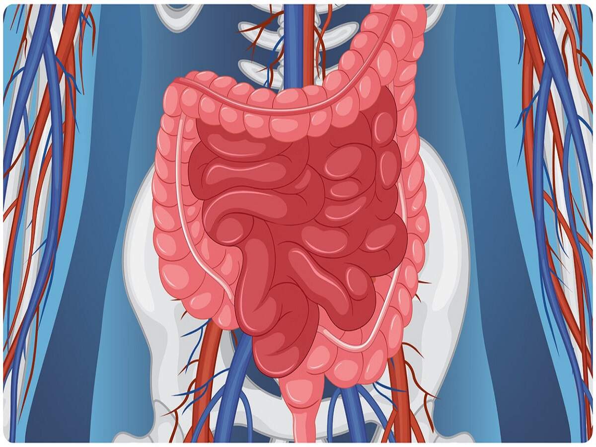 Health Tips: Let’s find out the reasons and mistakes that lead to high cholesterol.