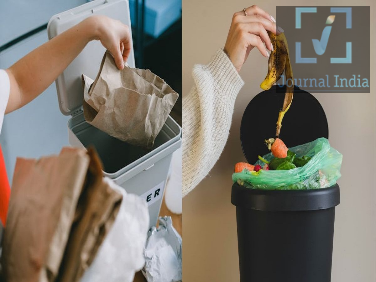 Vastu Tips: Do you also keep the trash can in this direction of your home? If so, it could block the flow of wealth.