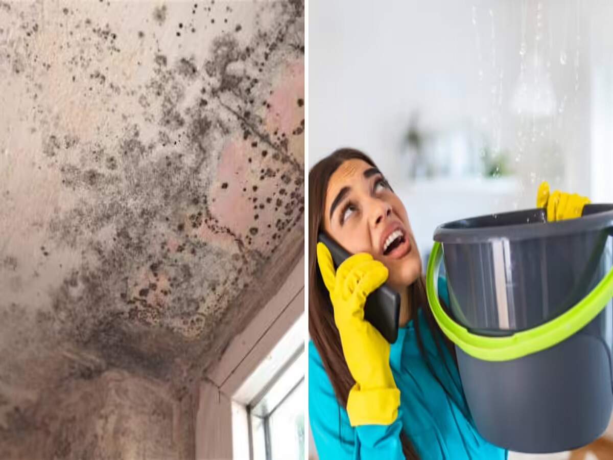 Vastu Tips: Has dampness developed in your home due to the rain? Find out why it is considered inauspicious.