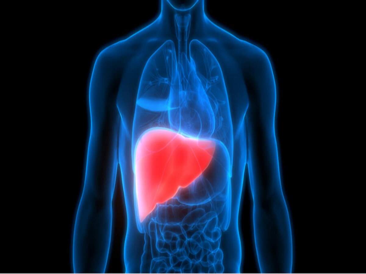 Fatty Liver Symptoms: फैटी लिवर के ये 5 संकेत, पुरुष न करें नजरअंदाज, जानिए इनके बारे में