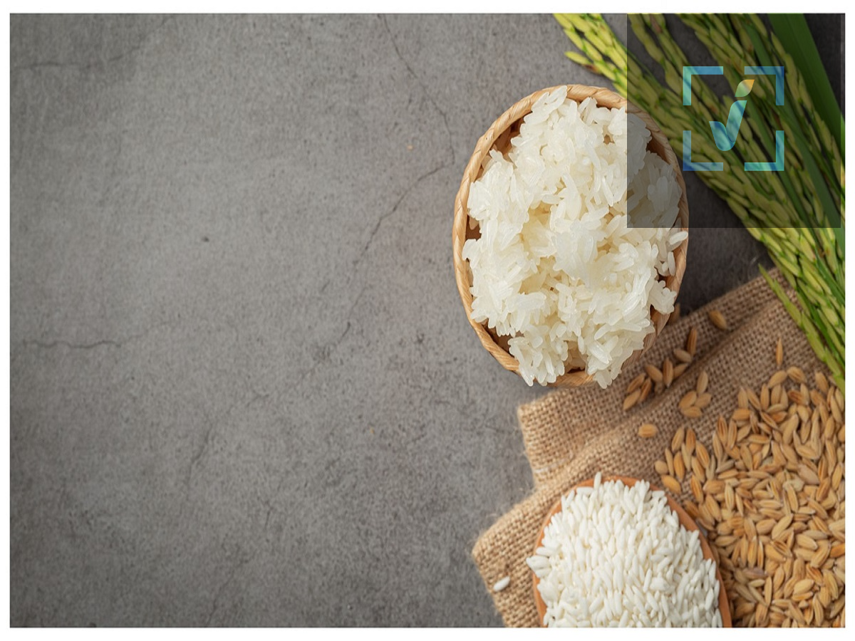 Health Tips: Does eating white rice lead to weight gain? Find out the truth.