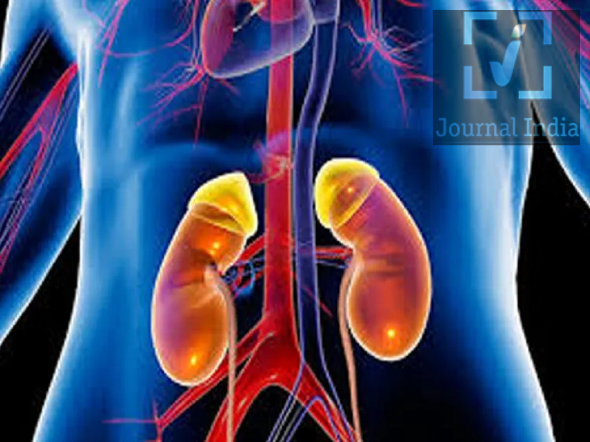 Health Tips- किडनी स्टोन या यूरिन इन्फेक्शन दोनों के लक्षणों को कैसे पहचाने, आइए जानें दोस्तो आज के दूषित वातावरण में स्वास्थ्य को स्वस्थ बनाए रखना बहुत ही मुश्किल हैं, खराब खान पान और जीवनशैली की वजह से कई प्रकार की स्वास्थ्य परेशानियां हो सकती हैं, ऐसे में किडनी स्टोन (पथरी) और यूरिनरी ट्रैक्ट इन्फेक्शन (UTI) स्वास्थ्य से जुड़ी दो आम समस्याएं हैं, जिनके कारण दर्द, पेशाब करते समय जलन और पेट के निचले हिस्से में बेचैनी हो सकती है। चूंकि इनके कुछ लक्षण एक जैसे होते हैं, इसलिए लोगों के लिए इन दोनों स्थितियों के बीच अंतर करना मुश्किल हो सकता है। हालांकि, इनके कारण, चेतावनी के संकेत और इलाज अलग-अलग होते हैं। आइए जानते हैं दोनों के बीच के अंतर - 1. किडनी स्टोन के लक्षण क्या हैं? किडनी स्टोन के लक्षण पथरी के आकार और उसकी जगह के आधार पर अलग-अलग हो सकते हैं। इसके आम लक्षणों में शामिल हैं: - पीठ या शरीर के किनारे में तेज दर्द: यह दर्द रीढ़ की हड्डी के दोनों तरफ, किडनी वाले हिस्से के आसपास हो सकता है। - पेट के निचले हिस्से की तरफ दर्द का फैलना: जब पथरी यूरेटर (मूत्र नली) में खिसकती है, तो दर्द पीठ से लेकर कमर (groin) के निचले हिस्से तक जा सकता है। इसे 'लोइन-टू-ग्रोइन' (loin-to-groin) दर्द कहा जाता है। - पेशाब करते समय जलन: ऐसा तब हो सकता है जब पथरी ब्लैडर (मूत्राशय) या पेशाब के रास्ते के करीब पहुंच जाती है। - पेशाब में खून आना: पेशाब का रंग गुलाबी, लाल या भूरा दिखाई दे सकता है। - जी मिचलाना और उल्टी आना: किडनी स्टोन के तेज दर्द के साथ ये लक्षण भी हो सकते हैं। - बार-बार पेशाब आने की इच्छा होना: ब्लैडर के पास पथरी होने पर बार-बार पेशाब जाने की इच्छा हो सकती है। यह दर्द लहरों की तरह आ सकता है और जैसे-जैसे पथरी यूरिनरी ट्रैक्ट से आगे बढ़ती है, दर्द और भी तेज हो सकता है। 2. यूरिनरी ट्रैक्ट इन्फेक्शन (UTI) के लक्षण क्या हैं? UTI तब होता है जब बैक्टीरिया यूरिनरी सिस्टम (मूत्र प्रणाली) के किसी हिस्से, जैसे कि मूत्र मार्ग (urethra) या ब्लैडर (मूत्राशय) में इन्फेक्शन फैला देते हैं। कुछ मामलों में, यह इन्फेक्शन किडनी तक भी फैल सकता है। सामान्य लक्षणों में शामिल हैं: - पेशाब करते समय जलन: पेशाब करते समय चुभन या दर्द महसूस होना एक आम चेतावनी संकेत है। - बार-बार पेशाब आना: आपको बार-बार पेशाब जाने की इच्छा हो सकती है, भले ही बहुत कम मात्रा में पेशाब आए। - पेट के निचले हिस्से में परेशानी: ब्लैडर (मूत्राशय) के संक्रमण के कारण पेट के निचले हिस्से में दर्द या दबाव महसूस हो सकता है। - पेशाब का धुंधला होना या तेज गंध आना: पेशाब के रंग या गंध में बदलाव आ सकता है। - बुखार और ठंड लगना: ये इस बात का संकेत हो सकते हैं कि संक्रमण ब्लैडर से आगे फैल गया है। - किडनी के आसपास दर्द: पीठ या बगल में दर्द के साथ बुखार होना किडनी के संक्रमण का संकेत हो सकता है। अगर UTI किडनी तक पहुँच जाए, तो इससे 'पायलोनेफ्राइटिस' (pyelonephritis) नामक स्थिति हो सकती है। इसके लक्षणों में तेज बुखार, ठंड लगना, पीठ या बगल में दर्द, जी मिचलाना और उल्टी आना शामिल हो सकते हैं। अगर किडनी में संक्रमण का संदेह हो, तो तुरंत डॉक्टर से जाँच करानी चाहिए। 3. किडनी स्टोन और UTI: मुख्य अंतर - दर्द की जगह: किडनी स्टोन के कारण अक्सर पीठ या बगल में तेज दर्द होता है, जो जांघ के ऊपरी हिस्से (groin) की तरफ जा सकता है। UTI में आमतौर पर पेशाब करते समय जलन होती है और पेट के निचले हिस्से में परेशानी महसूस होती है। - दर्द का प्रकार: किडनी स्टोन का दर्द बहुत तेज हो सकता है और लहरों की तरह (कभी कम, कभी ज्यादा) आ सकता है, जबकि ब्लैडर के संक्रमण में अक्सर लगातार परेशानी या दबाव महसूस होता है। - बुखार: सामान्य किडनी स्टोन में बुखार होना आम बात नहीं है। अगर बुखार है, तो यह UTI या किसी अन्य संक्रमण का संकेत हो सकता है। - पेशाब में बदलाव: किडनी स्टोन या UTI दोनों में पेशाब के साथ खून आ सकता है, इसलिए केवल इस लक्षण के आधार पर कारण का पता नहीं लगाया जा सकता। - पेशाब करने का तरीका: UTI में बार-बार या अचानक पेशाब आने की समस्या आम है, हालाँकि ब्लैडर के पास स्टोन होने पर भी ऐसे ही लक्षण दिख सकते हैं। केवल लक्षणों के आधार पर हमेशा इन दोनों स्थितियों के बीच अंतर करना संभव नहीं होता। लक्षणों के आधार पर, डॉक्टर यूरिन टेस्ट, ब्लड टेस्ट या इमेजिंग (जैसे अल्ट्रासाउंड) कराने की सलाह दे सकते हैं। 4. किडनी स्टोन से बचाव कैसे करें कुछ स्वस्थ आदतें अपनाकर किडनी स्टोन बनने के खतरे को कम किया जा सकता है। - पर्याप्त पानी पिएं: पूरे दिन शरीर में पानी की उचित मात्रा बनाए रखें। जिन लोगों को किडनी स्टोन होने का खतरा रहता है, उन्हें दिन भर में इतना तरल पदार्थ लेना चाहिए जिससे रोजाना लगभग 2&ndash;2.5 लीटर पेशाब बने (जब तक कि डॉक्टर ने तरल पदार्थों के सेवन को सीमित करने की सलाह न दी हो)।  - नमक का सेवन कम करें: सोडियम की अधिक मात्रा लेने से यूरिन में कैल्शियम का स्तर बढ़ सकता है, जिससे पथरी (stones) होने का खतरा बढ़ जाता है। - संतुलित आहार लें: तरह-तरह के फल, सब्जियां और अन्य पौष्टिक खाद्य पदार्थ खाएं। - स्वस्थ वजन बनाए रखें: नियमित शारीरिक गतिविधि और वजन को नियंत्रित रखने से किडनी की सेहत अच्छी रहती है। - डॉक्टर से अपनी दवाओं के बारे में बात करें: कुछ दवाएं पथरी होने का खतरा बढ़ा सकती हैं। डॉक्टर की सलाह के बिना कोई भी निर्धारित दवा लेना बंद न करें। - पारिवारिक इतिहास पर ध्यान दें: अगर आपके परिवार में किडनी की पथरी की समस्या रही है या आपको बार-बार पथरी होती है, तो बचाव के लिए जरूरी जांच के बारे में किसी डॉक्टर से सलाह लें।