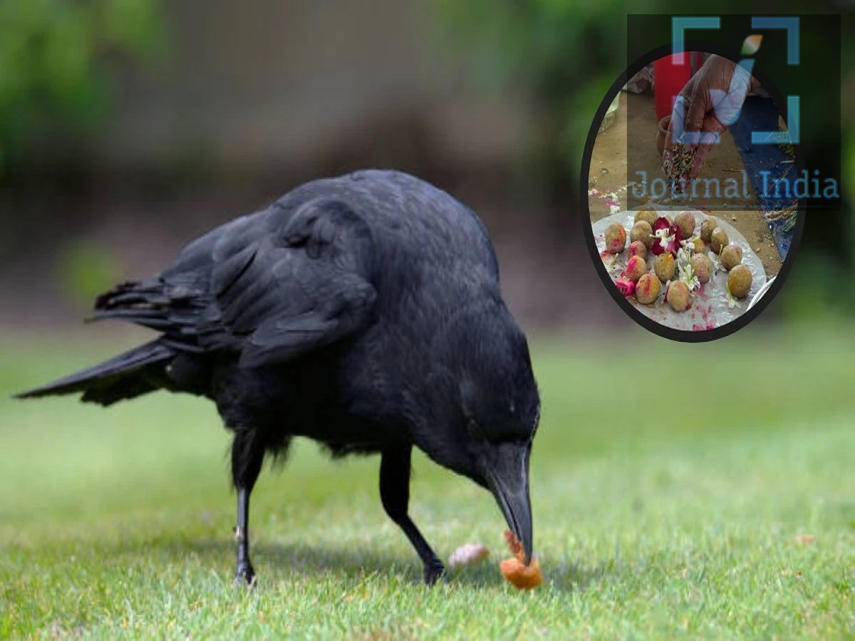 Pitru Paksha: पितृ पक्ष में कार या पॉपर्टी लेना सही हैं, आइए जानें शास्त्र क्या कहते हैं दोस्तो पितृ पक्ष हिंदू धर्म में पूर्वजों को याद करने और उनके प्रति श्रद्धा व्यक्त करने का विशेष समय माना जाता है। इस दौरान लोग पितरों के लिए श्राद्ध, तर्पण, दान और अन्य धार्मिक कर्म करते हैं। यही वजह है कि कई परिवार इस अवधि में शादी, गृह प्रवेश और अन्य मांगलिक कार्यों को टालना पसंद करते हैं।लेकिन जब कार कंपनियां और रियल एस्टेट कंपनियां इस दौरान आकर्षक ऑफर और डिस्काउंट देती हैं, तो क्या इस समय कार या पॉपर्टी लेना सही हैं, आइए जानतें हैं- पितृ पक्ष में शुभ कार्य क्यों टाले जाते हैं? पितृ पक्ष मुख्य रूप से पूर्वजों को समर्पित अवधि है। इस दौरान परिवार अपने दिवंगत पूर्वजों के प्रति श्रद्धा व्यक्त करता है और उनके लिए तर्पण व श्राद्ध कर्म करता है। इसी कारण परंपरागत रूप से शादी, गृह प्रवेश, बड़े मांगलिक समारोह और अन्य शुभ संस्कार इस अवधि में करने से बचा जाता है। इसे उत्सव के बजाय पूर्वजों के स्मरण और धार्मिक कर्मों का समय माना जाता है। क्या पितृ पक्ष में कार या घर की बुकिंग कर सकते हैं? कार या प्रॉपर्टी की सिर्फ बुकिंग करने पर रोक को लेकर कोई एक सार्वभौमिक धार्मिक नियम नहीं माना जाता। अलग-अलग धार्मिक परंपराओं और ज्योतिषीय मतों में इस विषय पर अलग राय मिलती है। कुछ लोग बुकिंग को केवल एक व्यावहारिक या वित्तीय प्रक्रिया मानते हैं। उनके अनुसार बुकिंग करने और वास्तव में वाहन या संपत्ति का स्वामित्व लेने में अंतर होता है। इसी वजह से कुछ परिवार पितृ पक्ष में कार या घर की बुकिंग कर लेते हैं, लेकिन: कार की डिलीवरी बाद में लेते हैं। प्रॉपर्टी की रजिस्ट्री बाद की तारीख में करवाते हैं। गृह प्रवेश शुभ मुहूर्त में करते हैं। बड़े भुगतान या स्वामित्व से जुड़े महत्वपूर्ण कार्य बाद में करते हैं। बुकिंग और डिलीवरी में क्यों किया जाता है अंतर? कार बुक करने का मतलब यह जरूरी नहीं कि उसी दिन वाहन की डिलीवरी और पूर्ण स्वामित्व भी प्राप्त हो गया। इसी तरह प्रॉपर्टी बुक करने और उसकी रजिस्ट्री या कब्जा लेने की प्रक्रिया अलग-अलग हो सकती है। इस आधार पर कुछ धार्मिक विशेषज्ञ बुकिंग को सामान्य व्यावहारिक कार्य मानते हैं, जबकि वाहन की डिलीवरी, प्रॉपर्टी की रजिस्ट्री और गृह प्रवेश जैसे महत्वपूर्ण चरणों को शुभ समय में करने की सलाह देते हैं। पितृ पक्ष में कंपनियां क्यों देती हैं ऑफर? पितृ पक्ष के दौरान ऑटोमोबाइल और रियल एस्टेट कंपनियां ग्राहकों को आकर्षित करने के लिए कई तरह के ऑफर देती हैं। इनमें शामिल हो सकते हैं: डिस्काउंट एक्सचेंज बोनस कैशबैक बुकिंग ऑफर फाइनेंस से जुड़े लाभ प्रॉपर्टी पर विशेष योजनाएं कई ग्राहक ऑफर का लाभ उठाने के लिए इस दौरान बुकिंग कर लेते हैं और नवरात्रि, दशहरा या दिवाली के आसपास डिलीवरी या रजिस्ट्री कराने की योजना बनाते हैं। अगर पितृ पक्ष में बुकिंग करना जरूरी हो तो क्या करें? अगर किसी जरूरी कारण से इस अवधि में कार या प्रॉपर्टी बुक करनी पड़ रही है, तो धार्मिक मान्यताओं का पालन करने वाले लोग पहले अपने पूर्वजों का स्मरण और तर्पण कर सकते हैं। इसके बाद बुकिंग की प्रक्रिया पूरी की जा सकती है। हालांकि, परिवार की परंपरा के अनुसार रजिस्ट्री, डिलीवरी, गृह प्रवेश या अन्य महत्वपूर्ण कार्य पितृ पक्ष समाप्त होने के बाद शुभ मुहूर्त में करना उचित माना जा सकता है।
