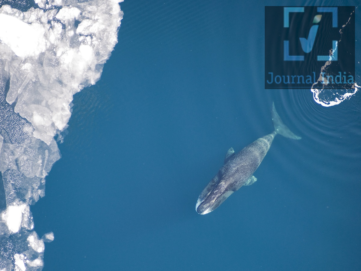 General Knowledge &ndash; Which animal has the longest lifespan in the world? Let's find out.