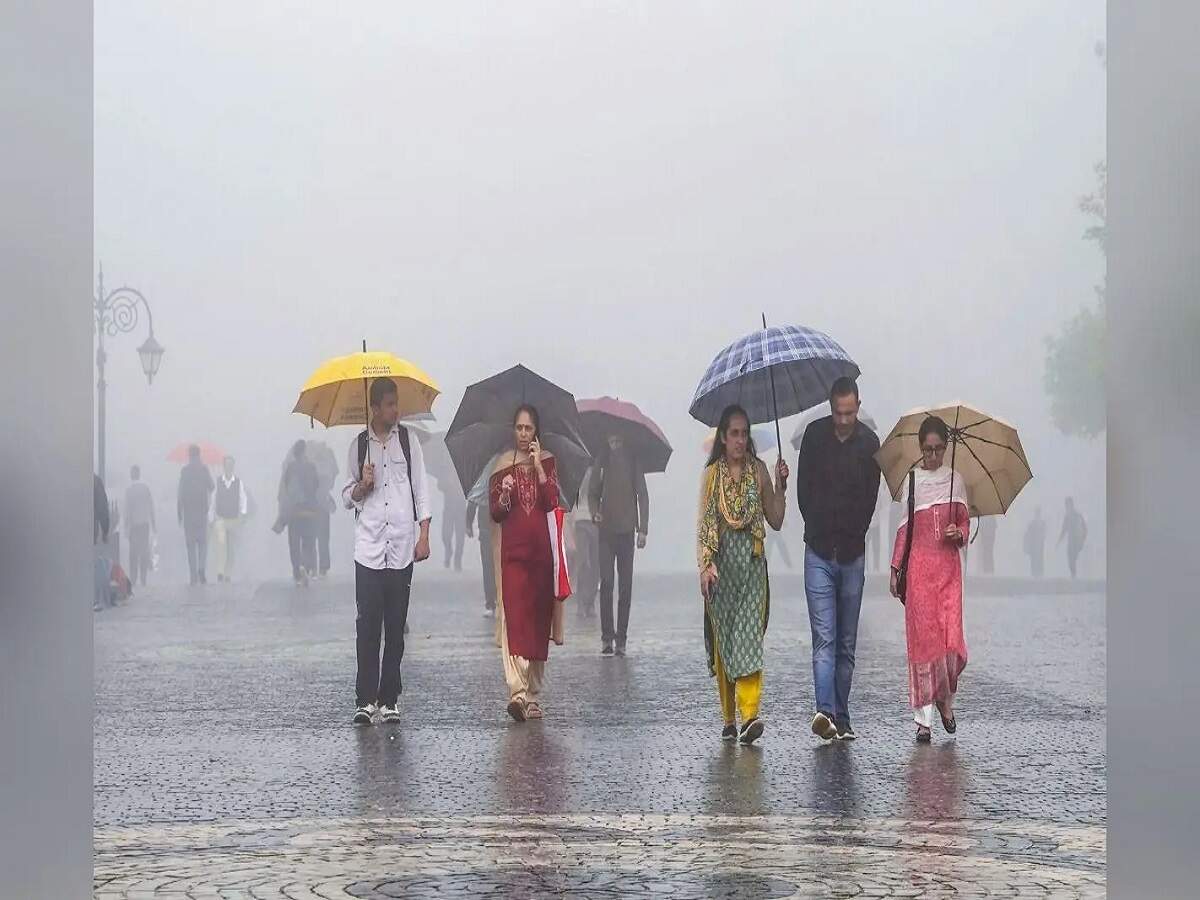 Weather Update: Heavy rain expected in these states today; find out what the weather will be like in your city.