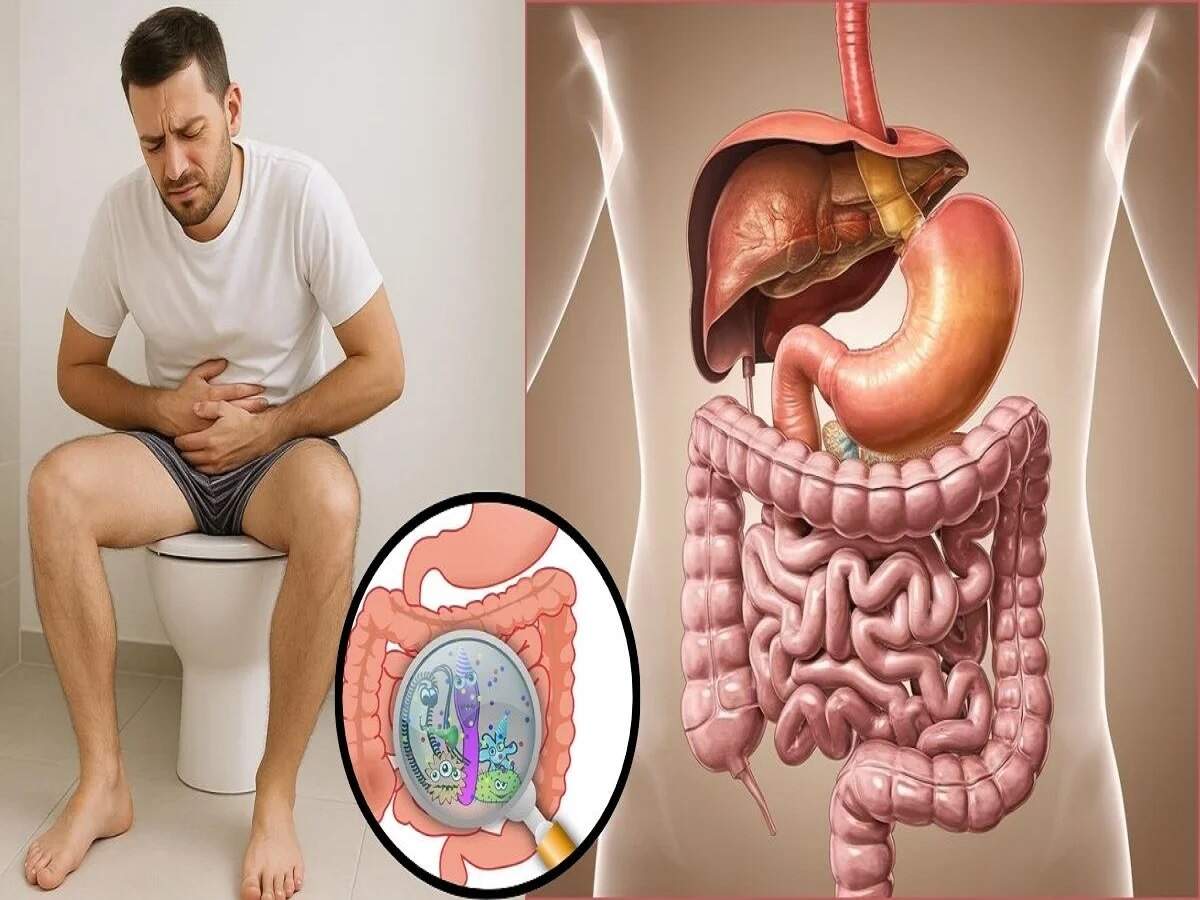 Health Tips – These daily habits harm gut health and digestion; let’s find out more about them.