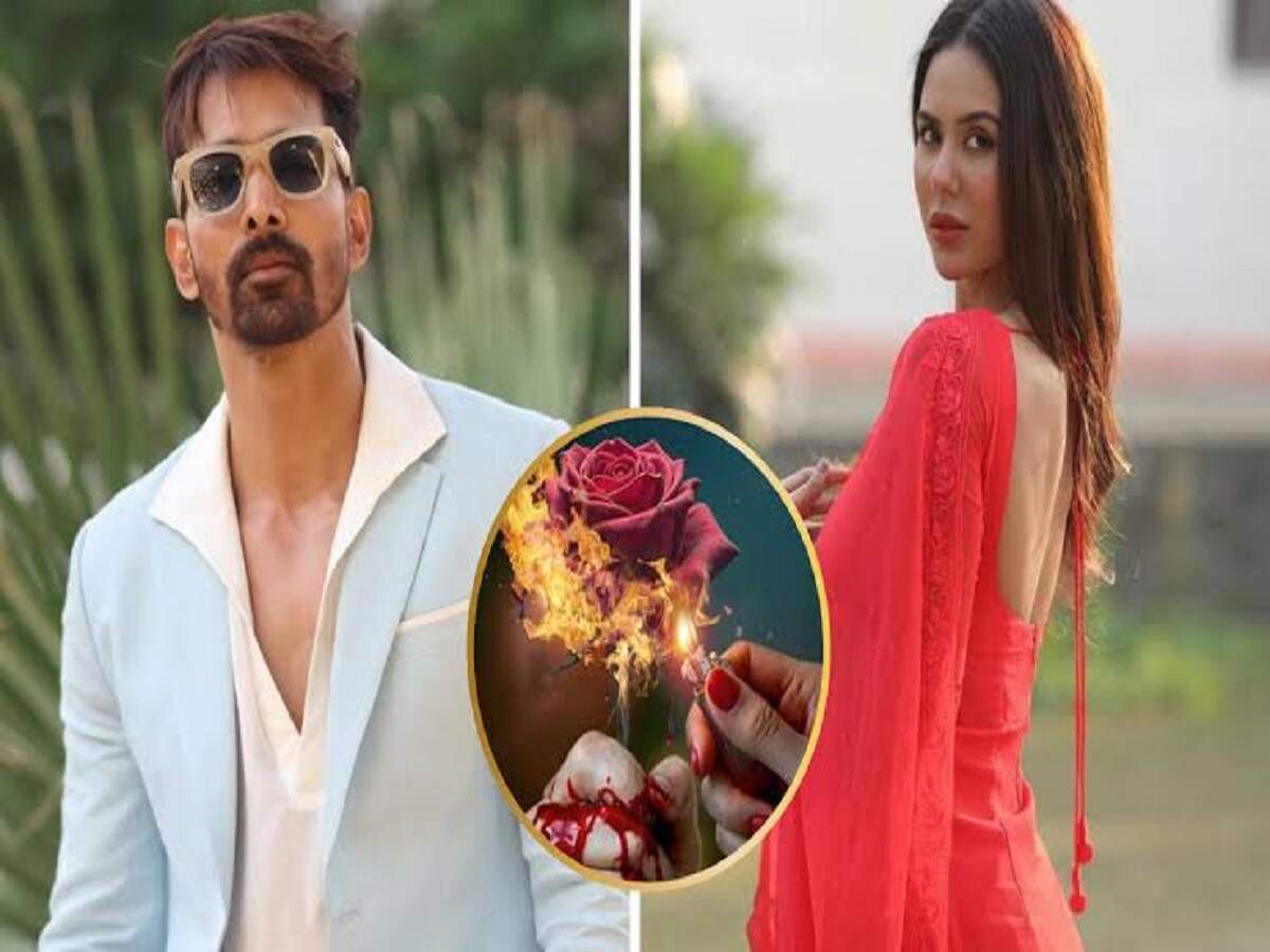 Entertainment News- सोनम बाजवा-हर्षवर्धन राणे फिर आए इस फिल्म के लिए साथ, एक क्लिक में जानें