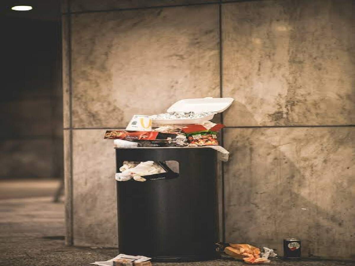 Vastu Tips: A dustbin placed in this direction blocks the inflow of wealth; find out the correct direction.