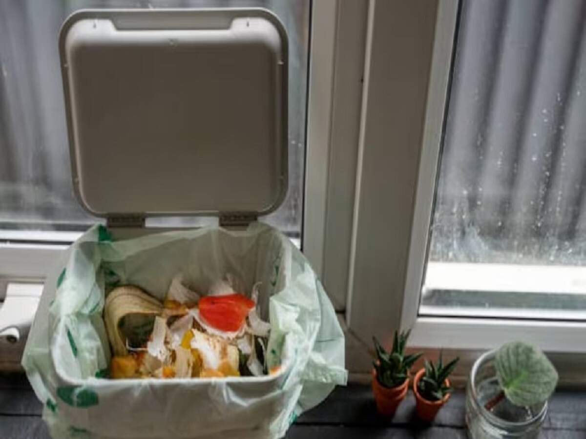 Vastu Tips: Do you also keep the trash can in this direction of your home? If so, it could block the flow of wealth.