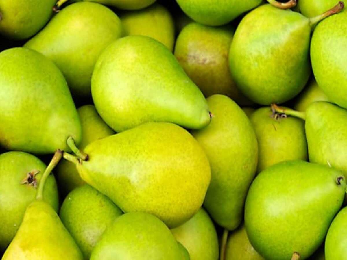 Health Tips – Let’s find out what nutrients and benefits are gained from eating pears.