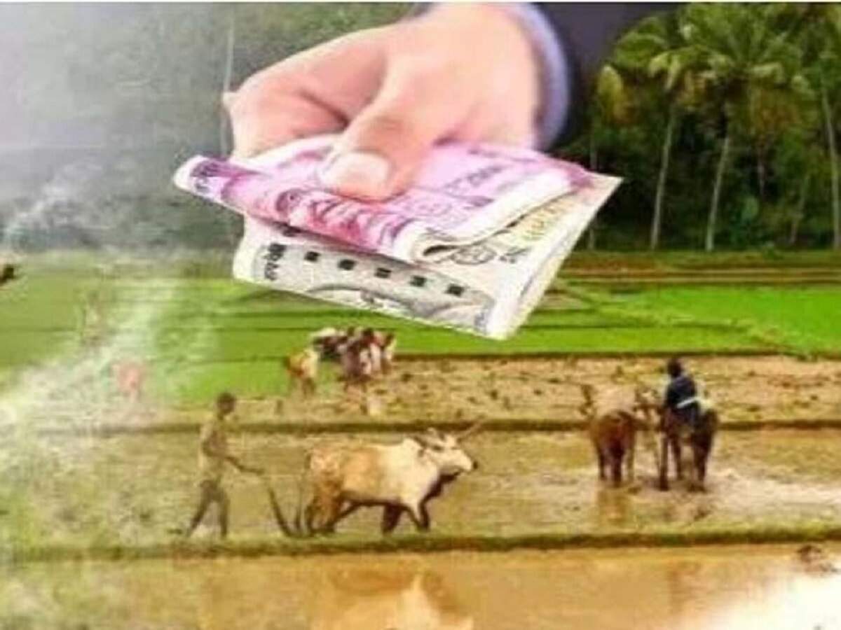PMKSNY – Want to check the status of your PM Kisan installment? Here’s how.
