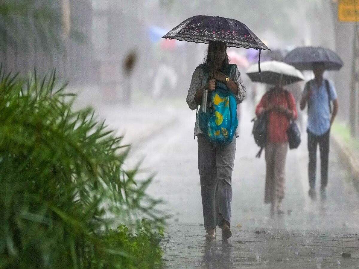 Weather Update: The Meteorological Department has issued a red alert for 17 states, warning of torrential rain and winds reaching speeds of 80 km/h.