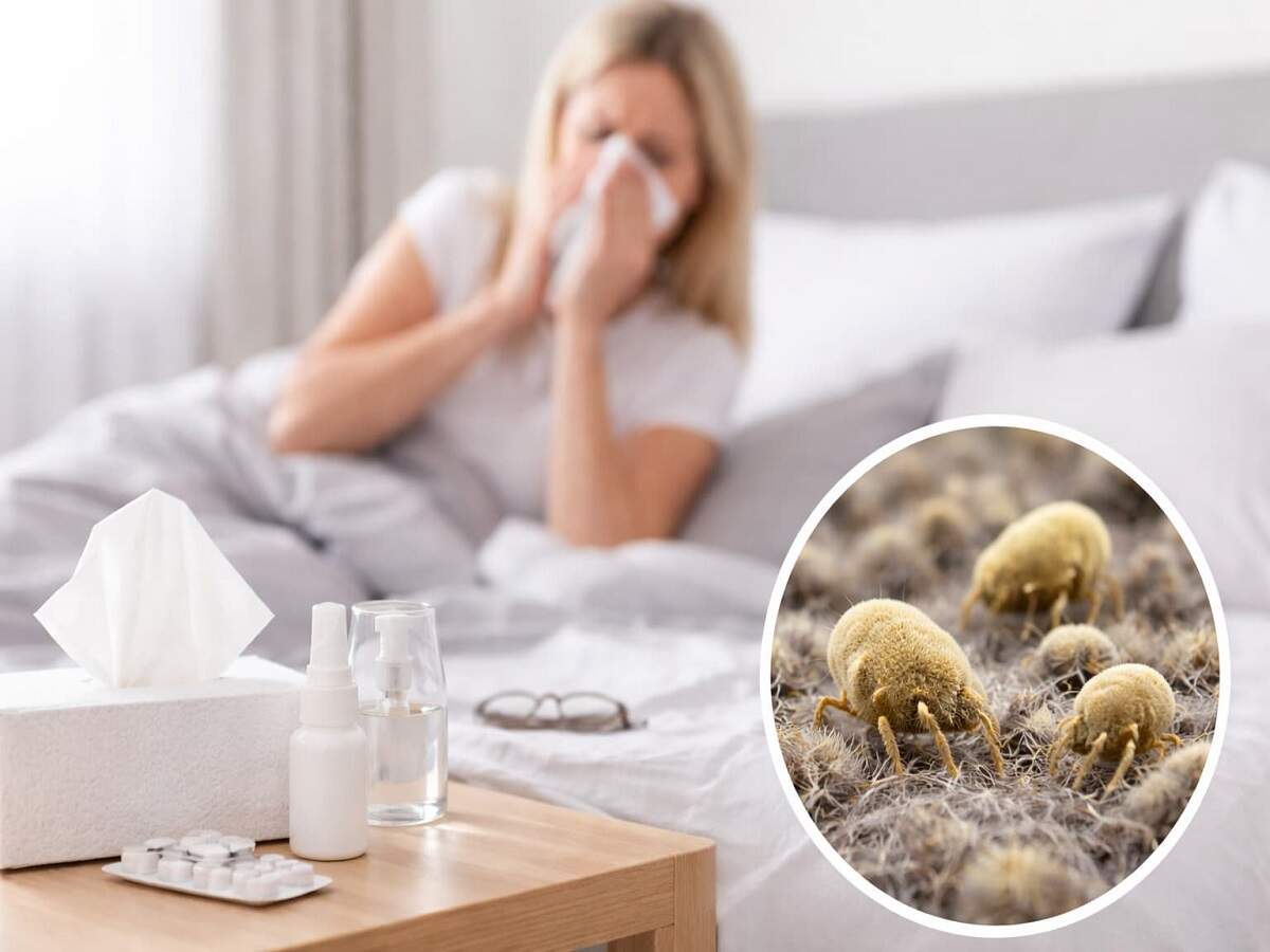 Dust Allergy – Have you developed a dust allergy? Find out the cause.