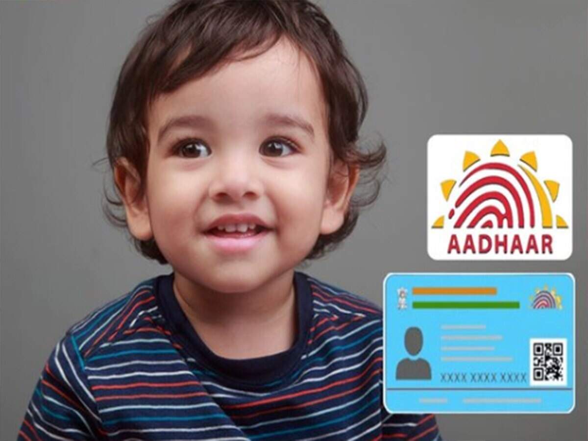 Blue Aadhaar vs. White Aadhaar: What are the differences between the two Aadhaar cards? Let’s find out in detail.