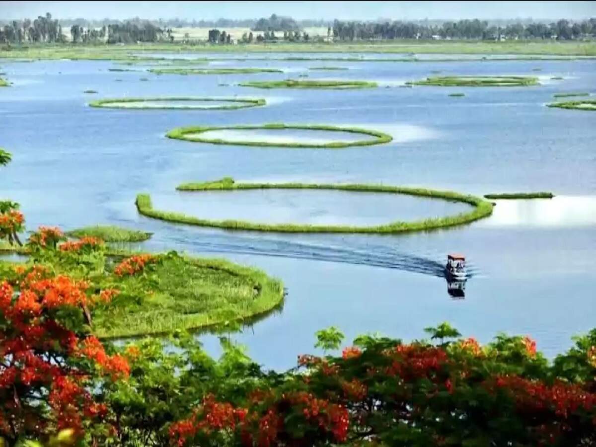 Travel Tip: There is a floating park in India; you will be amazed to learn about its unique features.