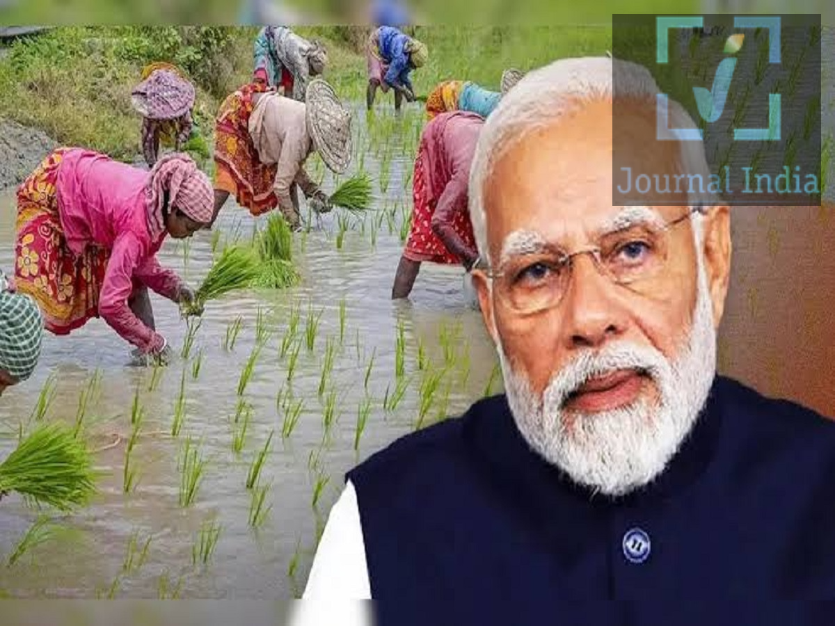 PMDDKY- पीएम धन-धान्य कृषि योजना की मदद से किसानों को मिल रही हैं मदद, जानिए पूरी डिटेल्स दोस्तो भारतीय सरकारी ने देश के आर्थिक रूप से कमजोर लोगो के लिए विभिन्न प्रकार की योजनाएं शुरु की हैं, जिनका उद्देश्य इन लोगो की मदद करना हैं, ऐसे में प्रधानमंत्री धन-धान्य कृषि योजना (PMDDKY) ने 11 अक्टूबर, 2026 को अपना पहला साल पूरा किया। प्रधानमंत्री नरेंद्र मोदी द्वारा 2025 में शुरू की गई इस योजना का मकसद भारत के 100 चुने हुए कृषि जिलों में खेती की उत्पादकता बढ़ाना और खेती के बुनियादी ढांचे को मजबूत करना है, आइए जानते हैं कितनी सफल हुई ये योजना-  शनिवार को जारी सरकारी फैक्ट शीट के अनुसार, इस योजना ने जिला-स्तर पर कृषि योजनाएं तैयार करने, प्रदर्शन की निगरानी करने और किसानों तथा किसान उत्पादक संगठनों (FPOs) के बीच सहयोग को बढ़ावा देने में प्रगति की है। PM धन-धान्य कृषि योजना की मुख्य बातें - योजना का नाम: प्रधानमंत्री धन-धान्य कृषि योजना (PMDDKY) - पहली वर्षगांठ: 11 अक्टूबर, 2026 - कुल शामिल जिले: 100 कृषि जिले - मंजूर अवधि: छह साल - कैबिनेट की मंजूरी: 16 जुलाई, 2025 - आधिकारिक शुरुआत: 11 अक्टूबर, 2025 - मुख्य उद्देश्य: कृषि उत्पादकता, सिंचाई, लोन की उपलब्धता और फसल कटाई के बाद के प्रबंधन में सुधार करना। 1. PM धन-धान्य कृषि योजना क्या है? PMDDKY एक सरकारी पहल है जिसे 100 चुने हुए जिलों में कृषि विकास को तेज करने के लिए बनाया गया है। इसका मुख्य उद्देश्य जिले-विशेष की चुनौतियों का समाधान करना और लक्षित उपायों के माध्यम से कृषि प्रदर्शन में सुधार करना है। यह योजना कई महत्वपूर्ण क्षेत्रों पर ध्यान केंद्रित करती है, जिनमें शामिल हैं: - कृषि उत्पादकता बढ़ाना। - सिंचाई सुविधाओं और जल प्रबंधन में सुधार करना। - संस्थागत कृषि लोन तक पहुंच का विस्तार करना। - भंडारण और फसल कटाई के बाद के बुनियादी ढांचे को मजबूत करना। - किसानों की आय बढ़ाने में उनकी मदद करना। - आधुनिक और टिकाऊ कृषि पद्धतियों को प्रोत्साहित करना। स्थानीय जरूरतों पर ध्यान केंद्रित करके, यह योजना यह सुनिश्चित करना चाहती है कि कृषि विकास के उपाय अधिक प्रभावी हों और अलग-अलग जिलों की जरूरतों के अनुरूप हों। 2. छह साल के लिए योजना को मंज़ूरी केंद्रीय मंत्रिमंडल ने 16 जुलाई, 2025 को छह साल की अवधि के लिए 'पीएम धन-धान्य कृषि योजना' को मंज़ूरी दी। प्रधानमंत्री नरेंद्र मोदी ने 11 अक्टूबर, 2025 को औपचारिक रूप से इसे लॉन्च किया। यह कार्यक्रम किसी एक अलग पहल पर निर्भर रहने के बजाय, मौजूदा सरकारी योजनाओं को एक साथ लाकर एक समन्वित दृष्टिकोण अपनाता है। इसे 11 मंत्रालयों और विभागों की 36 केंद्र सरकार की योजनाओं, साथ ही राज्य सरकार की योजनाओं और निजी क्षेत्र की भागीदारी के तालमेल से लागू किया जा रहा है। इस दृष्टिकोण का उद्देश्य चुने हुए ज़िलों की कृषि प्राथमिकताओं के अनुसार संसाधनों और विकास गतिविधियों में समन्वय स्थापित करना है। 3. सभी 100 ज़िलों में ज़िला कृषि योजनाएँ तैयार इस योजना के पहले साल की एक बड़ी उपलब्धि ज़िला कृषि योजनाओं (DAPs) को तैयार करना रही है। सरकारी फैक्ट शीट के अनुसार: - सभी 100 चुने हुए ज़िलों ने अपनी ज़िला कृषि योजनाएँ तैयार कर ली हैं। - इन योजनाओं को लागू करने का काम चल रहा है। - निगरानी और समीक्षा के लिए राज्य, ज़िला और राष्ट्रीय स्तर पर समितियाँ बनाई गई हैं। - सभी 100 ज़िलों ने अगस्त 2026 तक का आउटपुट इंडिकेटर डेटा जमा किया। - सभी 100 ज़िलों ने वित्तीय वर्ष 2025-26 के लिए आउटकम इंडिकेटर डेटा भी जमा किया। इन योजनाओं का उद्देश्य स्थानीय कृषि चुनौतियों की पहचान करने और ज़िले की विशिष्ट ज़रूरतों के आधार पर विकास गतिविधियों को दिशा देने में मदद करना है। 4. औसत परफॉर्मेंस स्कोर में उल्लेखनीय सुधार सरकार ने 100 ज़िलों में प्रगति का आकलन करने के लिए एक निगरानी तंत्र स्थापित किया है। अक्टूबर 2025 के आखिरी हफ़्ते में PMDDKY डैशबोर्ड लॉन्च किया गया था। नवंबर 2025 से, सरकार ने कार्यान्वयन और विकास की प्रगति पर नज़र रखने के लिए मासिक आउटपुट इंडिकेटर्स का उपयोग करके ज़िलों की रैंकिंग शुरू की। फ़ैक्ट शीट के अनुसार, छह लक्ष्यों के आधार पर 100 ज़िलों का औसत स्कोर अप्रैल 2026 में 18.85 से बढ़कर अगस्त 2026 में 46.89 हो गया। यह इस अवधि में 28.04 अंकों का सुधार दिखाता है। स्कोरिंग सिस्टम ज़िला-स्तर की प्रगति का आकलन करने और उन क्षेत्रों की पहचान करने का एक तरीका देता है जिन पर और ध्यान देने की ज़रूरत है। हालाँकि, स्कोर में सुधार का मतलब अपने आप किसानों की आय या कृषि उत्पादन में उतनी ही बढ़ोतरी नहीं माना जाना चाहिए। 5. केंद्रीय नोडल अधिकारियों द्वारा नियमित निगरानी केंद्रीय नोडल अधिकारी नियमित रूप से लागू करने की प्रगति की समीक्षा कर रहे हैं और चुने हुए ज़िलों को मार्गदर्शन दे रहे हैं। अलग-अलग प्रशासनिक स्तरों पर निगरानी समितियाँ भी प्रदर्शन की समीक्षा करने और ज़िला कृषि योजनाओं को लागू करने में मदद कर रही हैं। इसका मकसद यह पक्का करना है कि योजना के तहत किए जाने वाले काम असरदार ढंग से लागू हों और ज़िलों को स्थानीय कृषि चुनौतियों से निपटने के लिए मार्गदर्शन मिले।