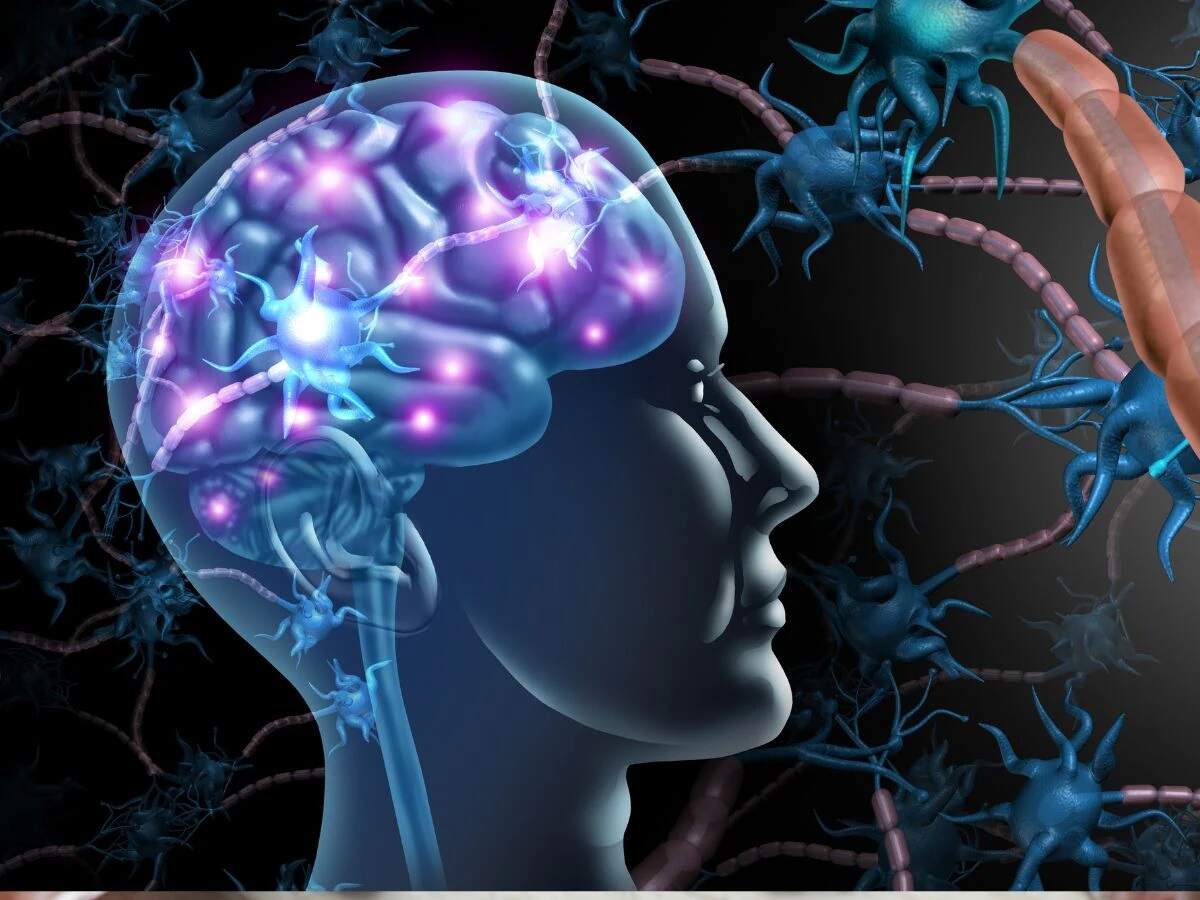 Health Tips: The brain can be detoxified—find out what experts say.
