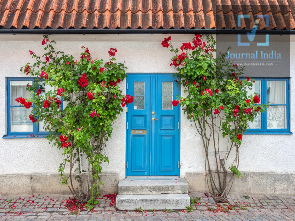 Vastu Tips: Do you keep the main gate closed in the evening? This habit could become a source of trouble.
